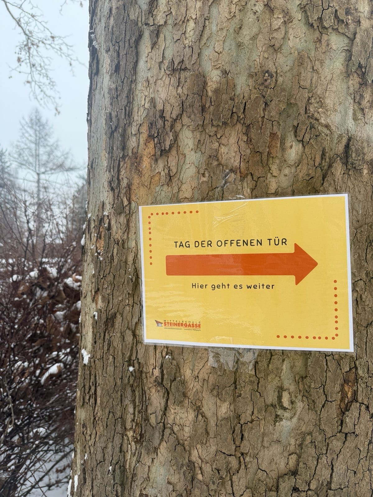 Volles Haus beim Tag der offenen Tür